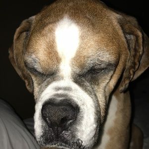 Meet your Posher, Mariana